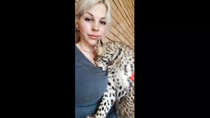 This baby leopard really loves hugs
