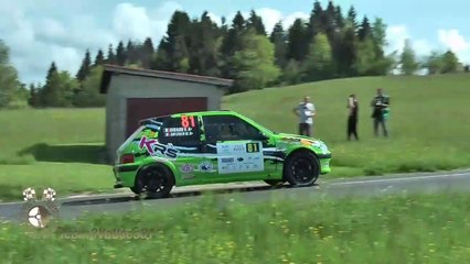 Rallye Ain Jura 2018 N°2 show and mistakes