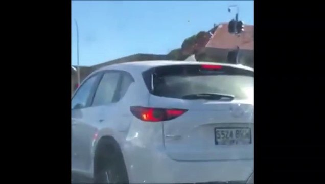 Une énorme araignée se glisse dans une voiture... Terrifiant