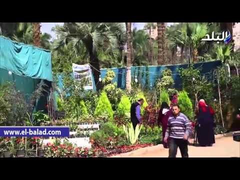 صدى البلد | زهورمعرض الربيع بالأورمان تشمل اصناف نادرة من النباتات