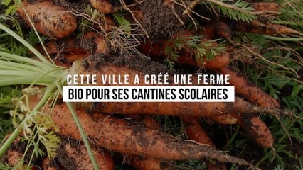 Cette ville a créé une ferme bio pour ses cantines scolaires