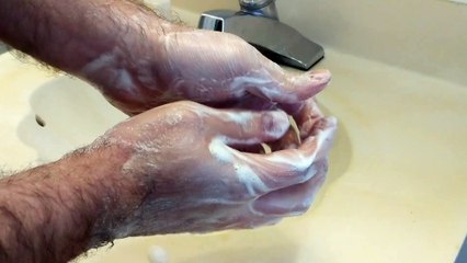 Simplicity Soap lather test