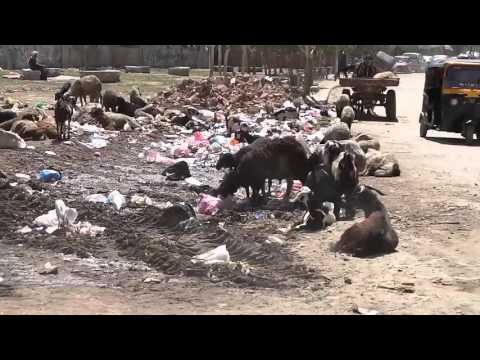 صدى البلد | «خرطة عاصم» ببولاق الدكرور تستغيث من «القمامة»