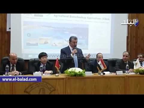 صدى البلد | وزير التعليم العالى بجامعة بنها: نسعى الى الاستفادة من البحوث العلمية فى التطوير