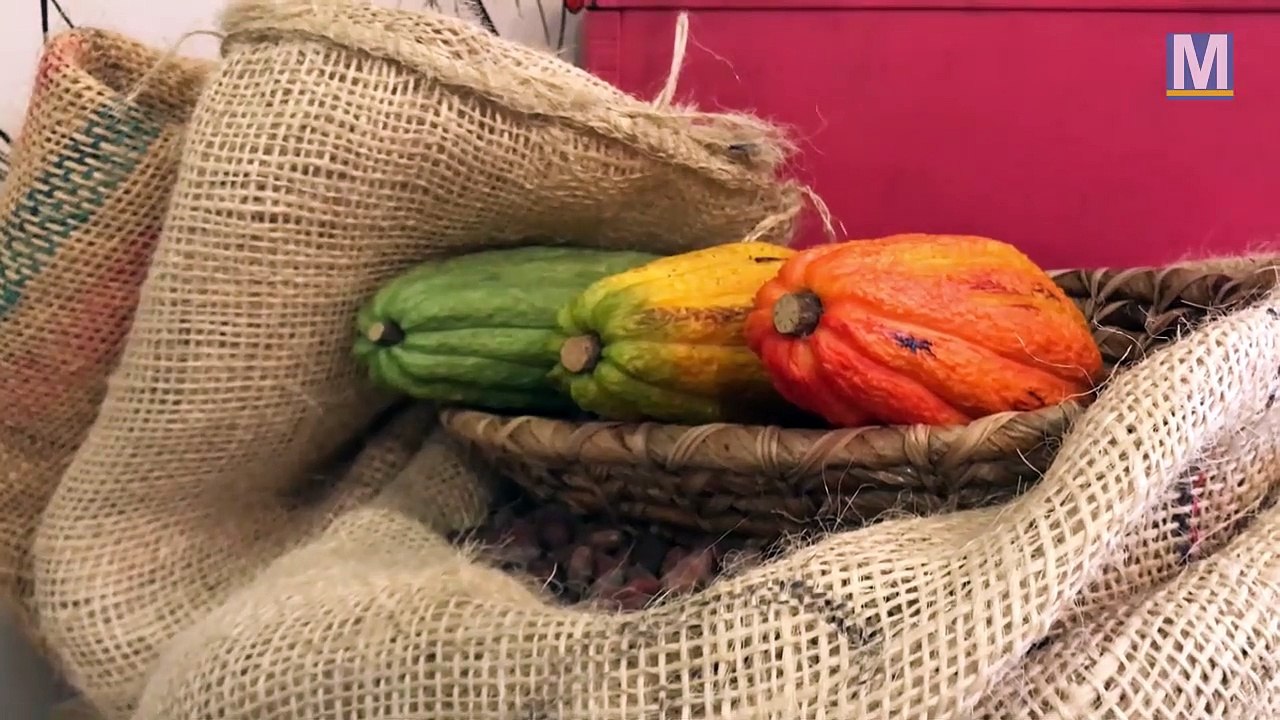 Marseille : la Baleine à Cabosse, tendrement chocolat