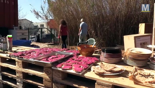 Au pied de la L2, le Talus veut imposer la nature