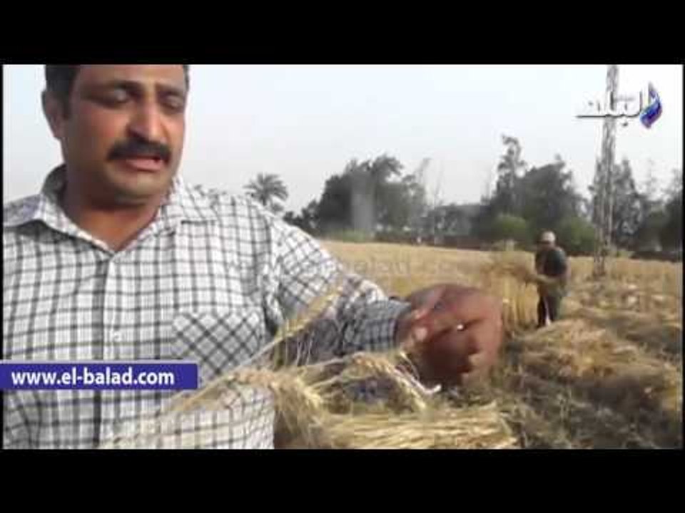 صدى البلد | أمين الاشراف بالفيوم يطالب الحكومة...