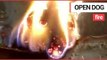 Bizarre video shows a log burning in a fire at a temple which looks exactly like a DOG | SWNS TV
