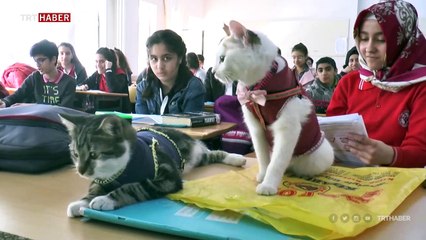 Adıyaman'daki okulun maskotları "Gofret" ve "Miya"