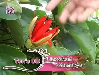 Yon's DD - Jawaban Semebyar [Official Music Video]