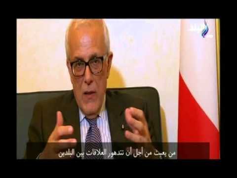 صدى البلد |أعضاء البرلمان الإيطالي لأبو العينين : الحكومة المصرية ليست متورطة في قتل ريجيني
