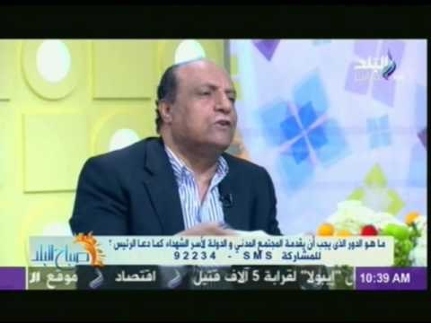 نجيب جبرائيل : قبرص واليونان دعمتا مصر بجينيف..وأمريكا وتركيا طالبا بإلغاء قانون التظاهر