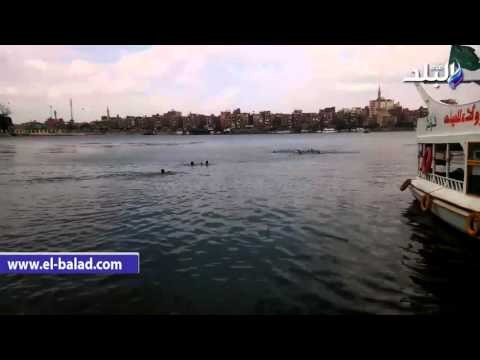 صدى البلد | أطفال القناطر الخيرية يسبحون في مياه النيل