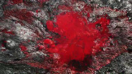 HUMAN by Yann Arthus-Bertrand - Genesis of the film