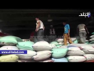 صدى البلد |  توافد الفلاحين على شون ومطاحن الدقهلية لتوريد القمح