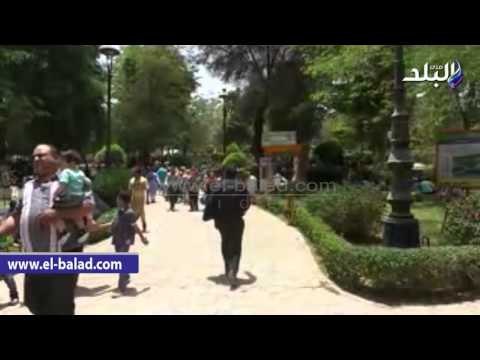 صدى البلد | الأسر الأسونية تفترش الحدائق والمنتزهات فى «شم النسيم»