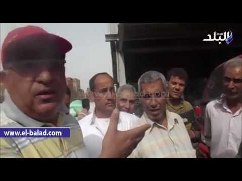صدى البلد | توافد الفلاحين على مضرب «بهرتد» بالمنصورة لتوريد القمح