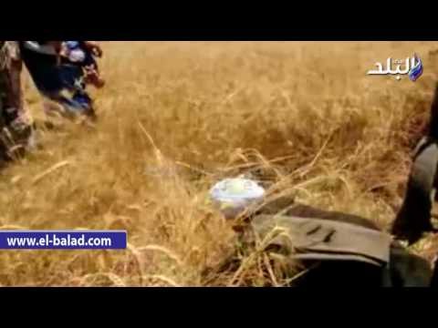 صدى البلد | محافظ أسوان إنتظام إستلام كافة كميات القمح بإجمالى إستلام 20 ألف و486 أردب حتى الآن