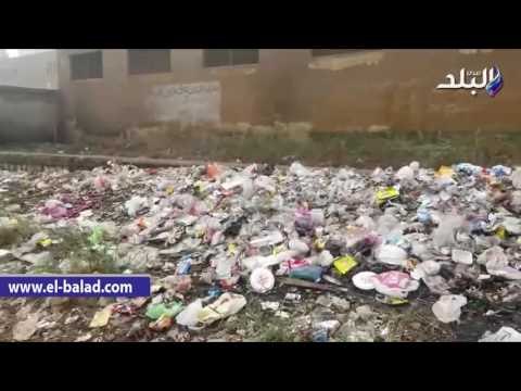 صدى البلد | الثعابين والكلاب الضالة تحتل محطة قطارات الفيوم ..وتأكل القضبان يهدد حياة المسافرين