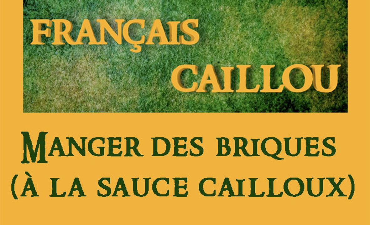 Français caillou / Définition du jour : Manger des briques (à la sauce cailloux)