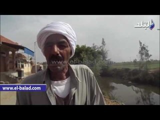 صدى البلد |  القوات المسلحة تعيد الحياة لقرية "الهبشة" بالدقهلية