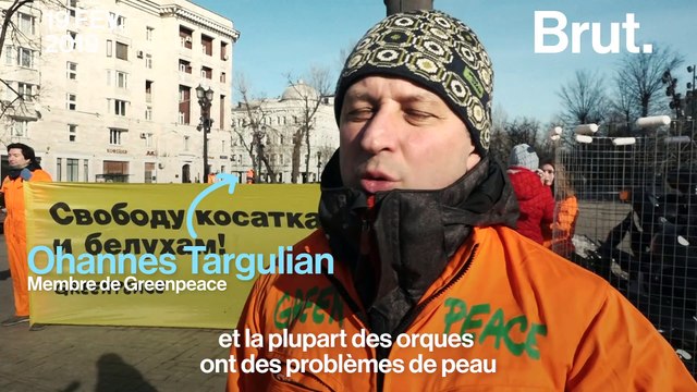 À la découverte des prisons des baleines