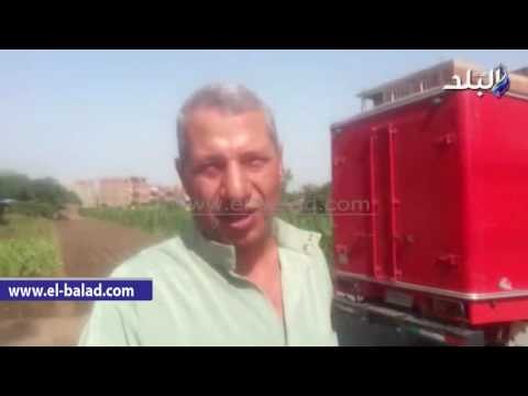 صدى البلد | يرصد فرحة ميت أبو شيخة بالمنوفية برصف الجيش لطريق ترابي.. والأهالي: في انتظار التوسعة