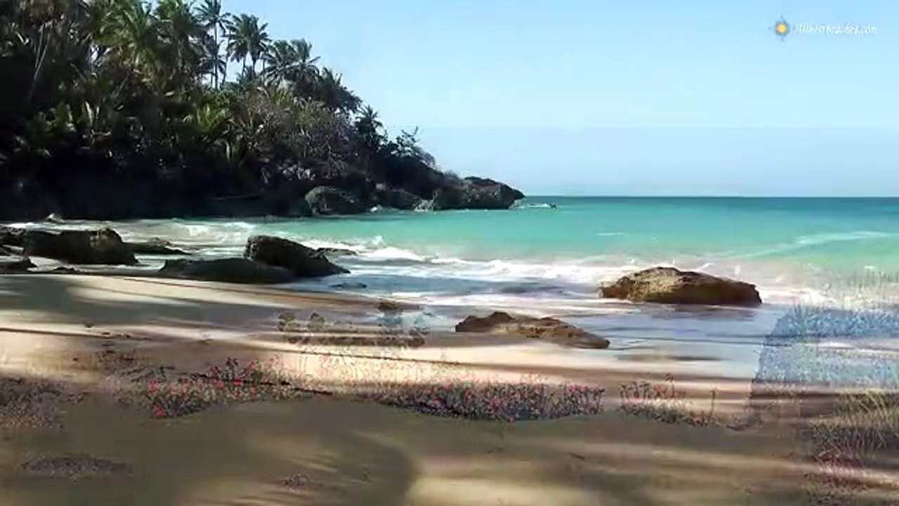 Best beaches in the world relaxing HD video