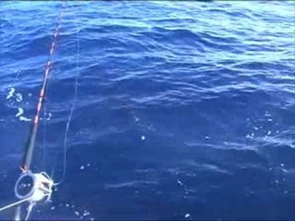 Transat 1ère partie
