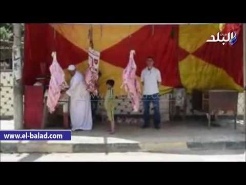 صدى البلد | محافظ الفيوم: طرح كميات جديدة من اللحوم البلدية المدعمة بسعر 65 جنيهاًللكيلو