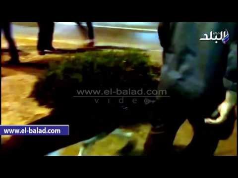 صدى البلد | الامن يستعين بالكلاب البوليسية لتأمين ميدان سفنكس