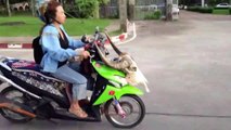Epic Motorcycle FAILS & WINS Bike Videos Compilation __  LPE360 Funny Fails