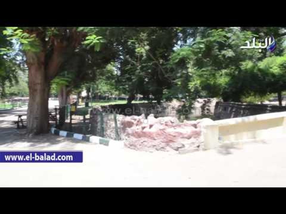 صدى البلد | إستعدادات "حديقة الحيوان" لاستقبال الزائرين فى عيد الفطر