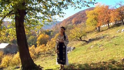 Violeta Partenie-Am primit la mine-n casa