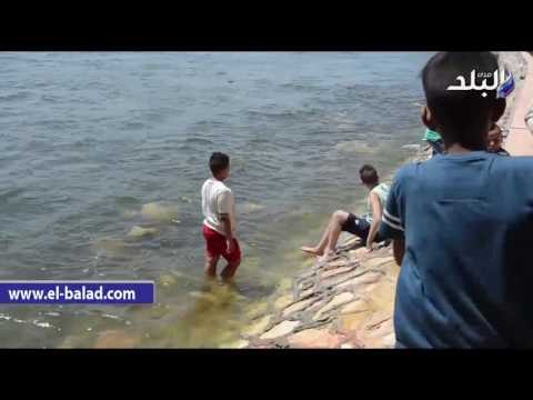 صدى البلد | أطفال يسبحون فى مياه النيل بكورنيش التحرير