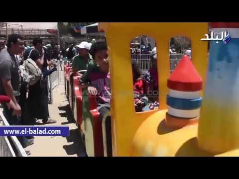 صدى البلد | حديقة الأسكندرية تستقبل حيوانات جديدة وسط اقبال جماهيري