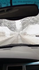 What Over 500 Inches of Snowfall Looks Like