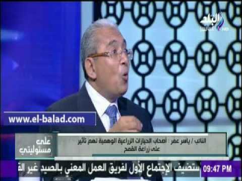 صدى البلد |برلمانى : أصحاب الحيازات الزراعية الوهمية لهم تأثير على زراعة القمح