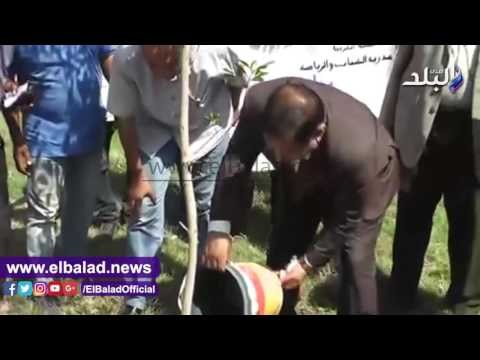 صدى البلد |محافظ الغربية يتفقد فعاليات مبادرة حلوة يابلدي بطنطا