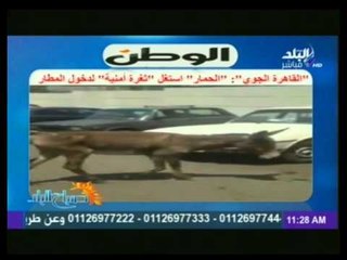 شاهد..أكثر تعليقات المسئولين والوزراء سخرية على مواقع التواصل الإجتماعي