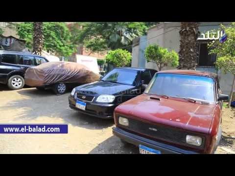 صدى البلد | مواطنون: مكتبة قصور الثقافة بإمبابة: أصبحت مأوى للكلاب والقطط