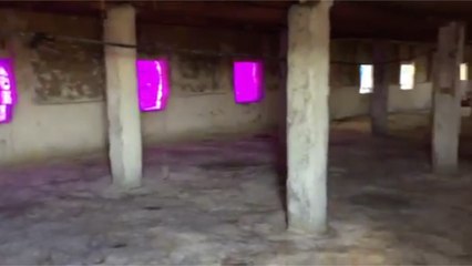 مربو الدواجن بمطروح يبحثون عن "كتكوت": «بـ13 جنيها ومش لاقيينها»