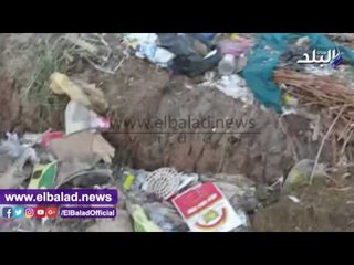 صدى البلد |  تلال القمامة تلغي شعار "حلوة يابلدي" ببني سويف