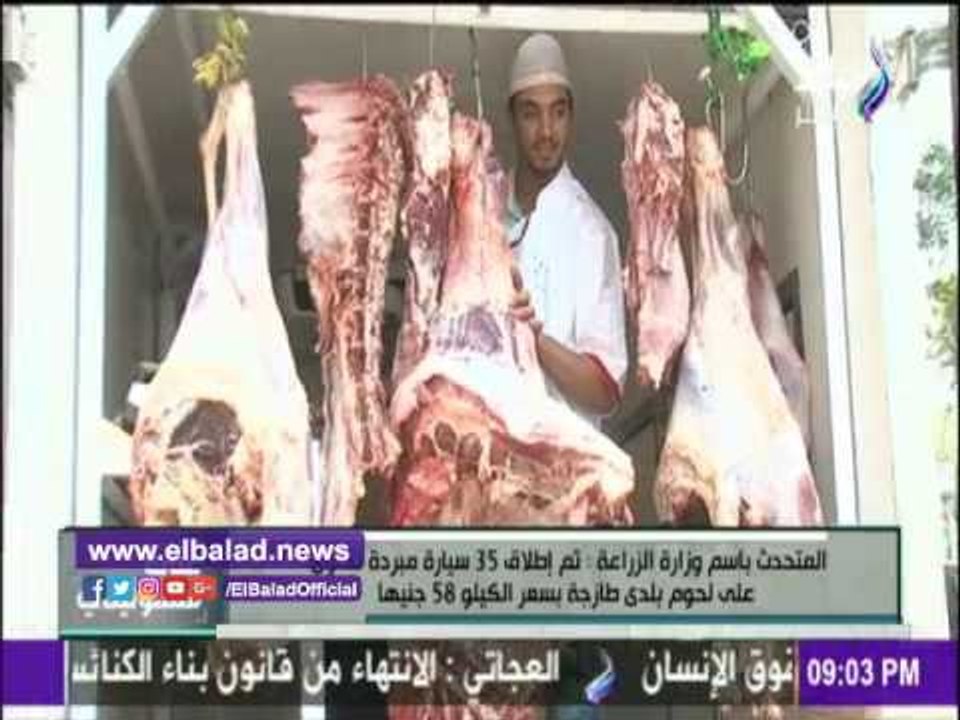 صدى البلد | «الزراعة» تدفع بـ35 سيارة لحوم بسعر 58 جنيهًا للكيلو