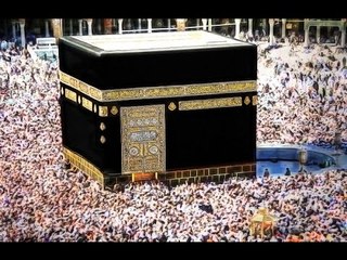 مؤسسة "أبو العينين" الخيرية تهدى أسر شهداء الجيش والشرطة رحلات عمرة