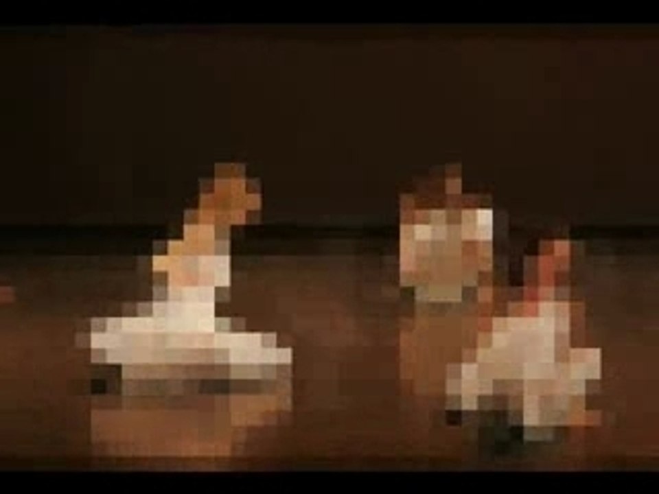 Danse Passion