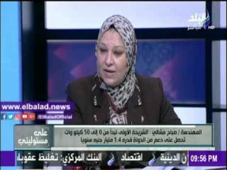 صدى البلد |مشالى :29 مليار جنيه  دعما سنويا للكهرباء للمواطنين فى المنازل فقط