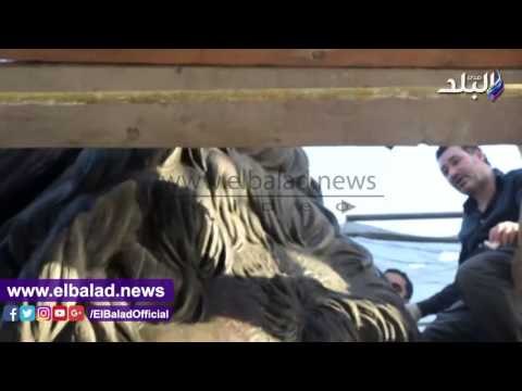 صدى البلد | صدي البلد مع مرممي أسود قصر النيل..تنظيف التماثيل من الإتساخات..وطبقة عازلة للأتربة