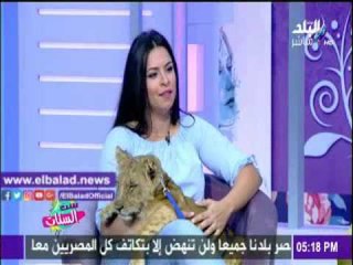 صدى البلد |ظهور أسدين على الهواء فى " ست الستات "