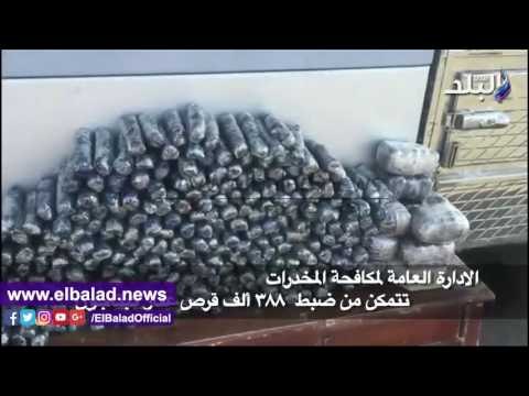 صدى البلد | إحباط تهريب 388 ألف قرص من عقار «كبتاجون» المخدر للسعودية